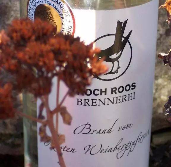 ペンション Weingut Koch
