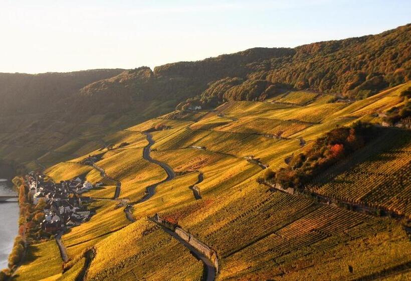 פנסיון Weingut Koch