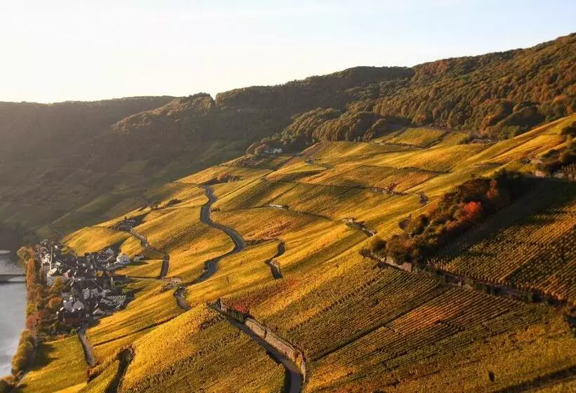 ペンション Weingut Koch