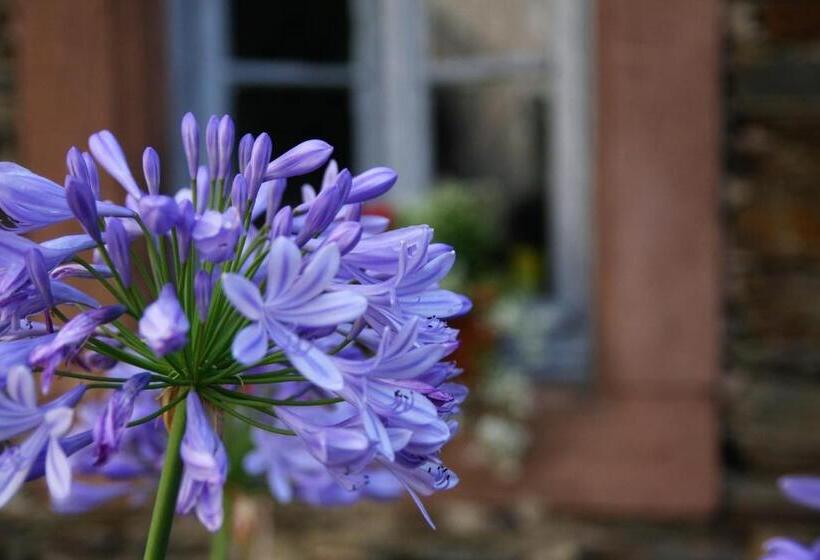 פנסיון Weingut Koch