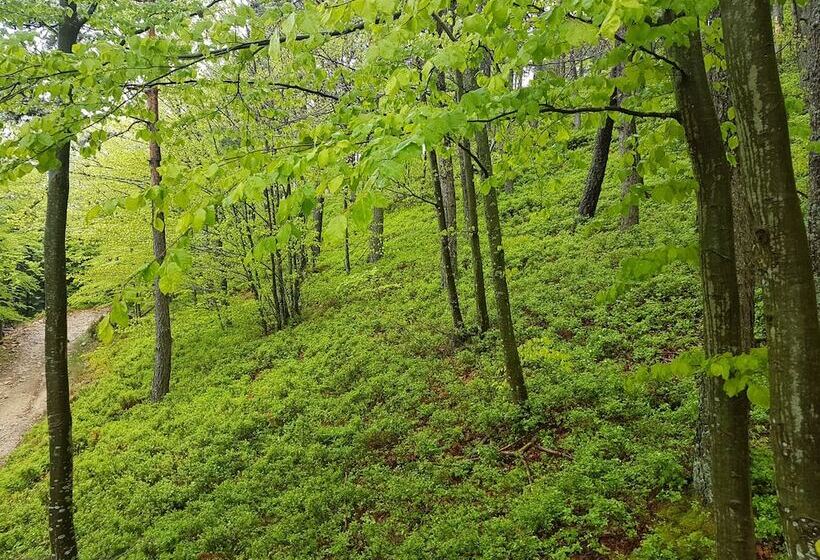 צימר La Bulle Transparente   La Myrtille