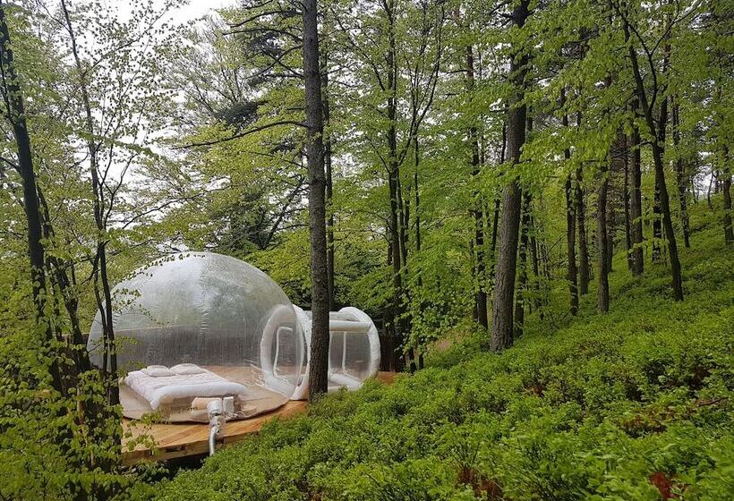 צימר La Bulle Transparente   La Myrtille