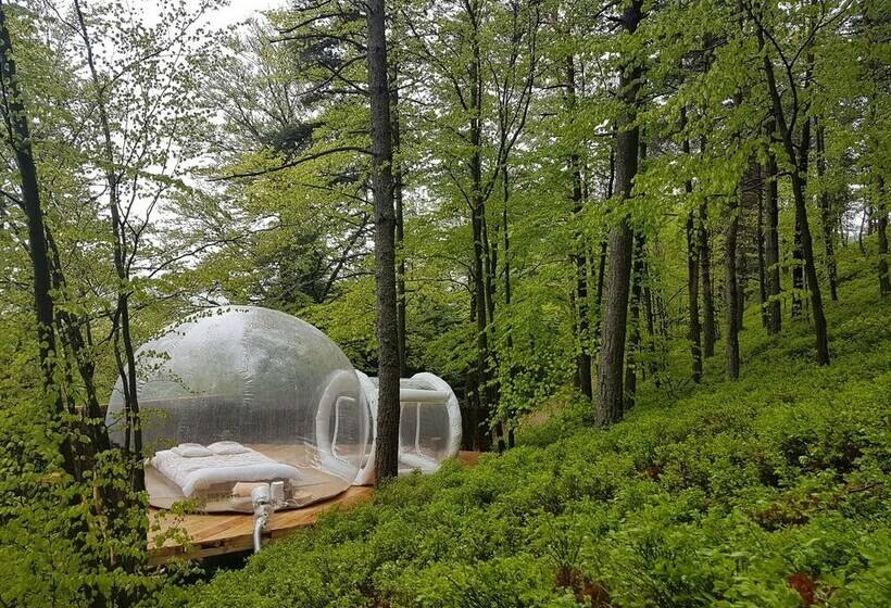 צימר La Bulle Transparente   La Myrtille