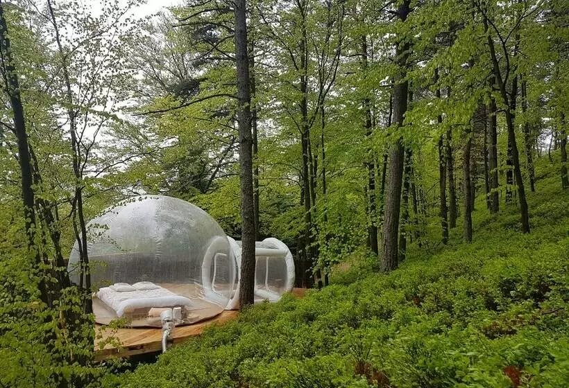 ベッドアンドブレックファースト La Bulle Transparente   La Myrtille