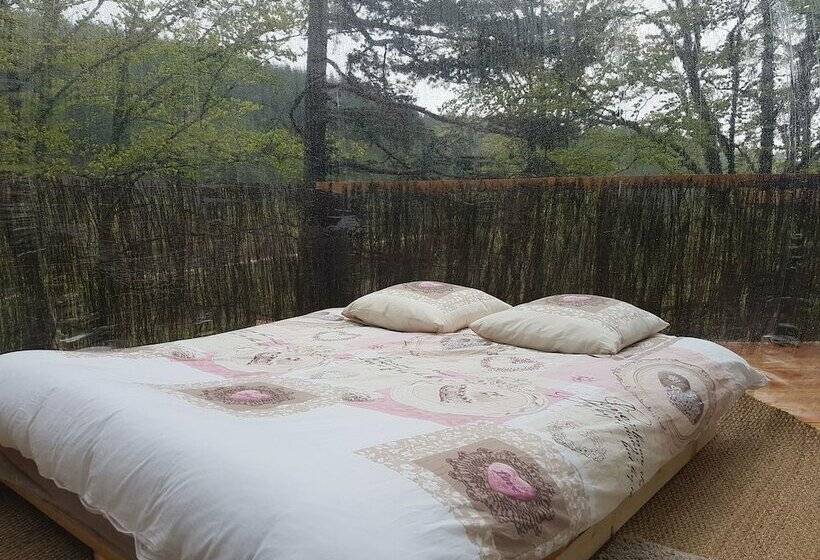 צימר La Bulle Transparente   La Myrtille