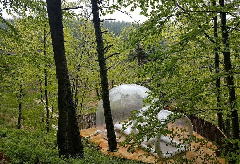 צימר La Bulle Transparente   La Myrtille