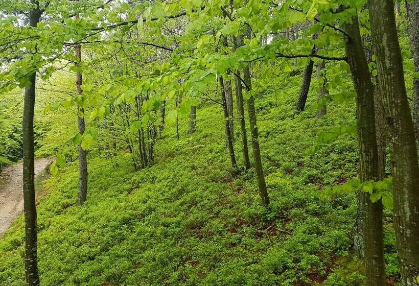 צימר La Bulle Transparente   La Myrtille