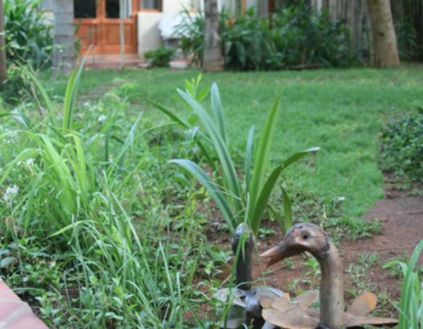 צימר River Bank Lapa