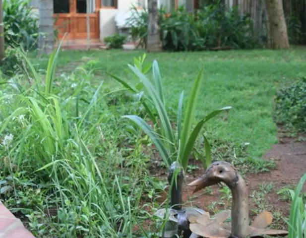 ベッドアンドブレックファースト River Bank Lapa