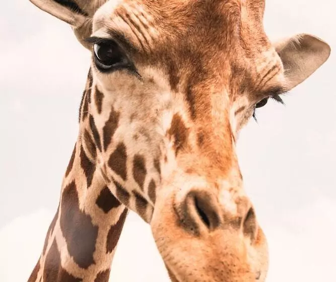 Hotelli Blue Hills Ranch