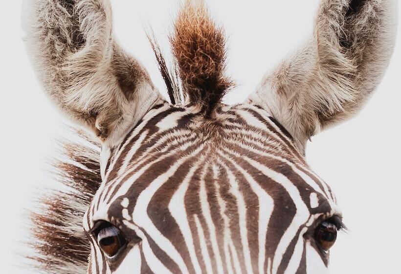 호텔 Blue Hills Ranch