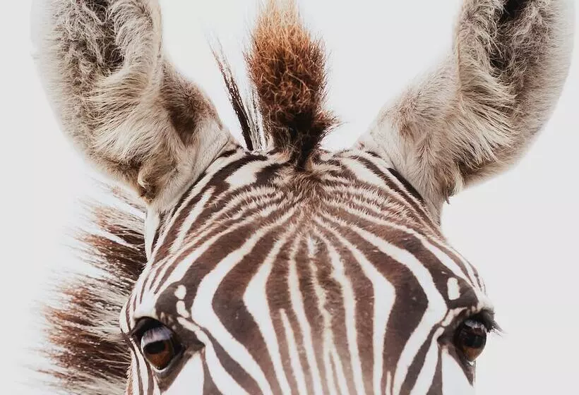 Hotelli Blue Hills Ranch