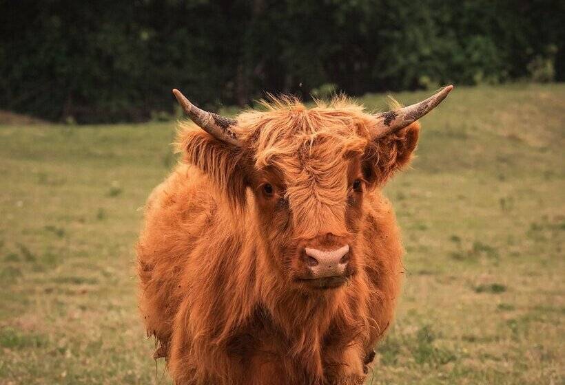 호텔 Blue Hills Ranch