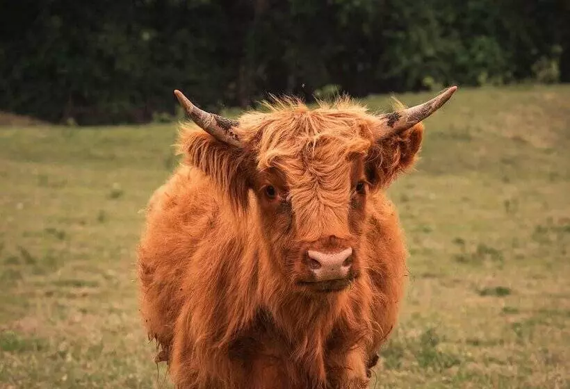 Hotelli Blue Hills Ranch