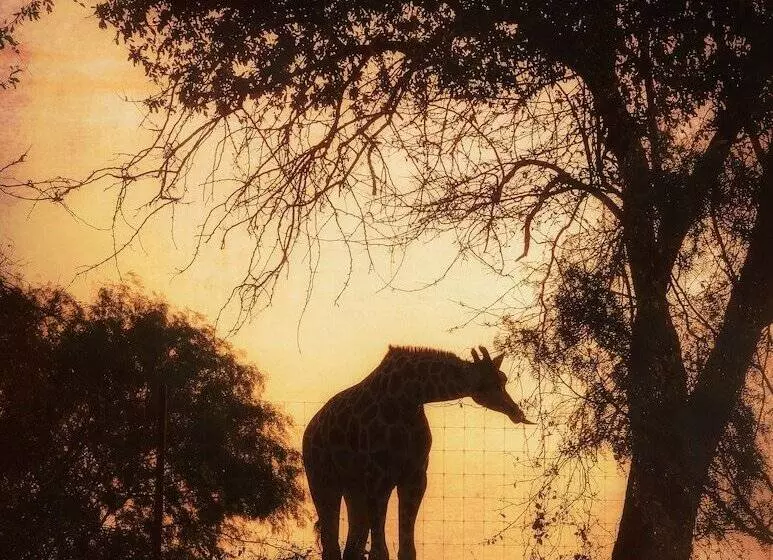 Hotelli Blue Hills Ranch