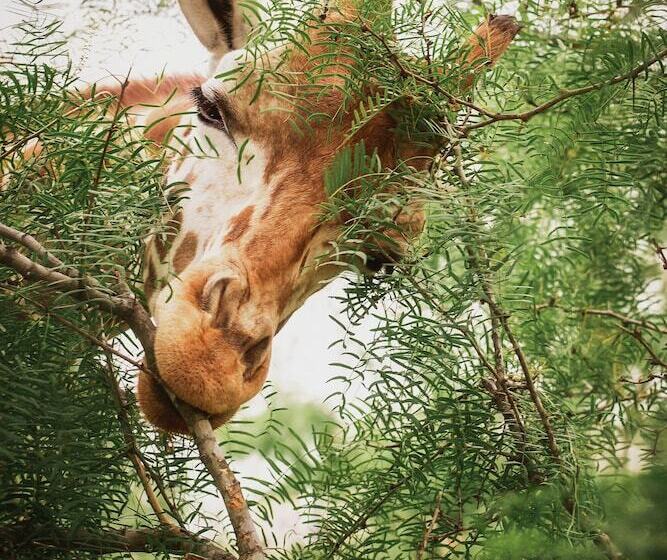 호텔 Blue Hills Ranch