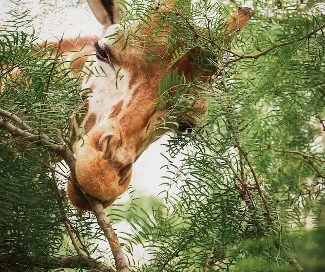 Hotelli Blue Hills Ranch