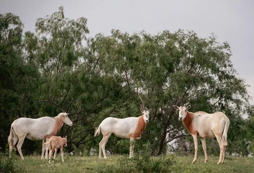 Hotelli Blue Hills Ranch