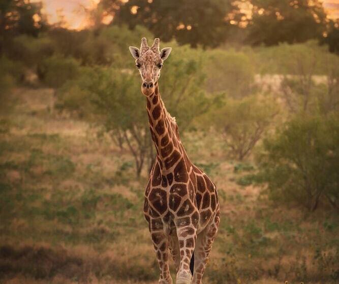 호텔 Blue Hills Ranch