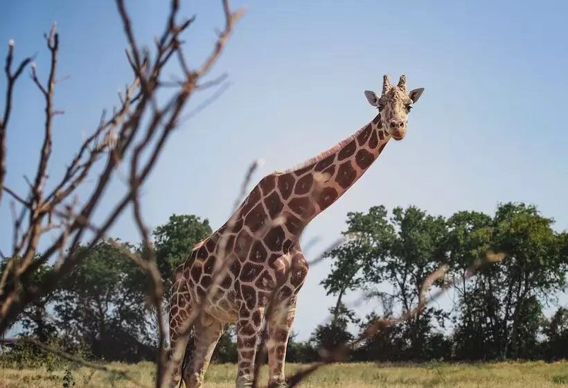 Hotelli Blue Hills Ranch