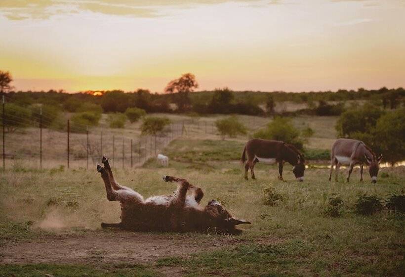 호텔 Blue Hills Ranch