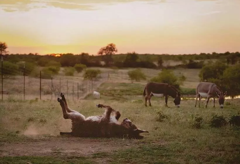 Hotelli Blue Hills Ranch