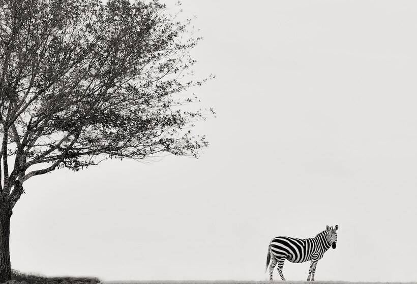 호텔 Blue Hills Ranch