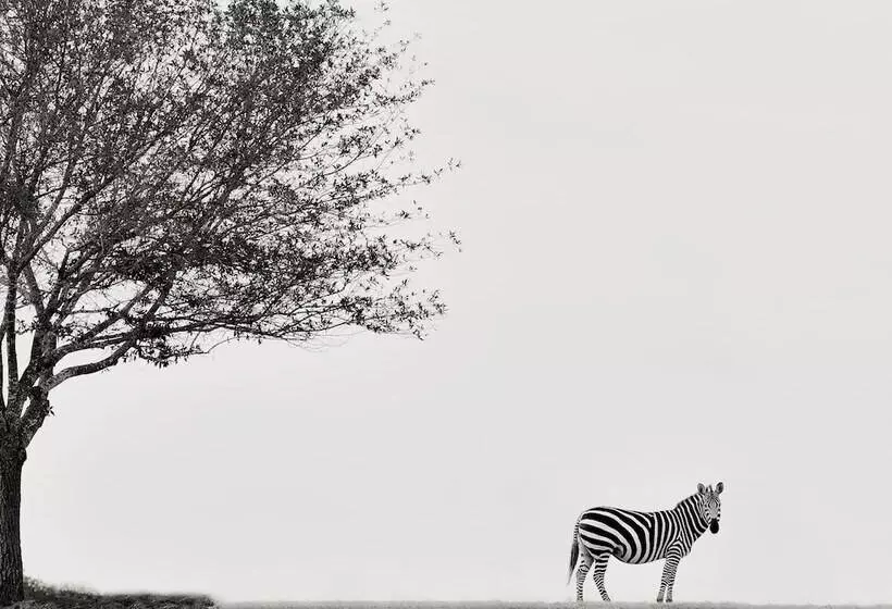 Hotelli Blue Hills Ranch