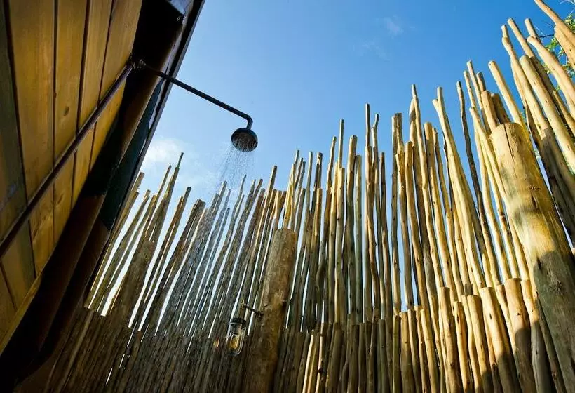 هتل Klaserie Sands Safari Trails