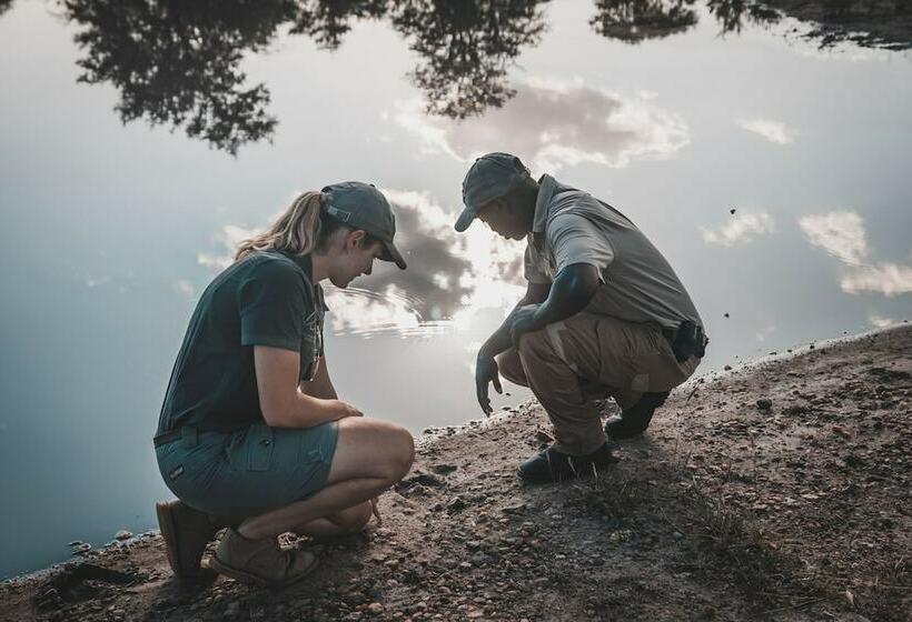 酒店 Klaserie Sands Safari Trails