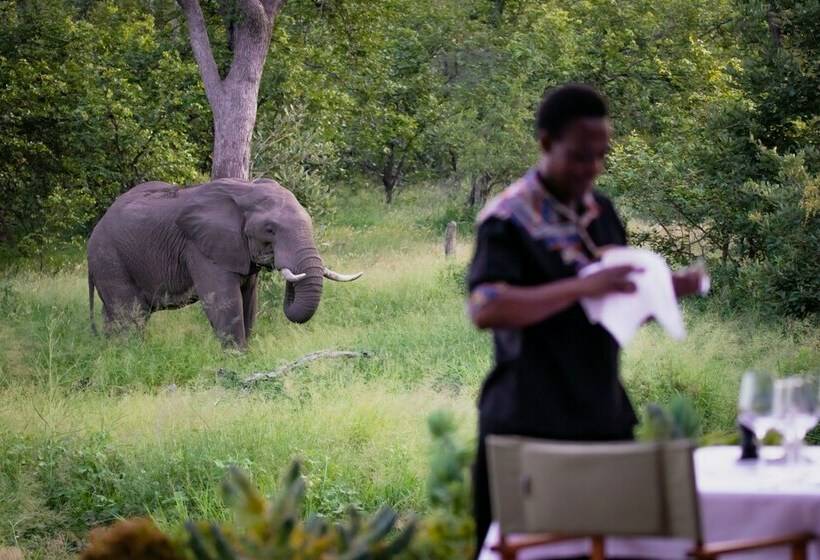 酒店 Klaserie Sands Safari Trails