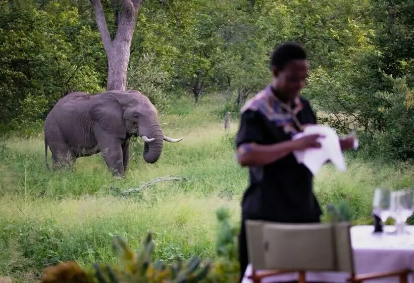 هتل Klaserie Sands Safari Trails