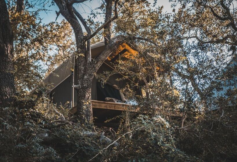 酒店 Klaserie Sands Safari Trails