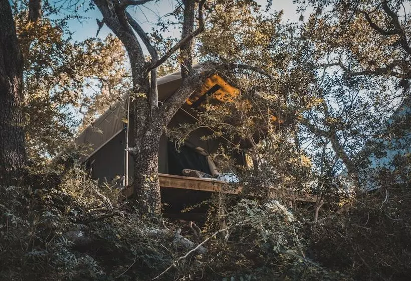 هتل Klaserie Sands Safari Trails