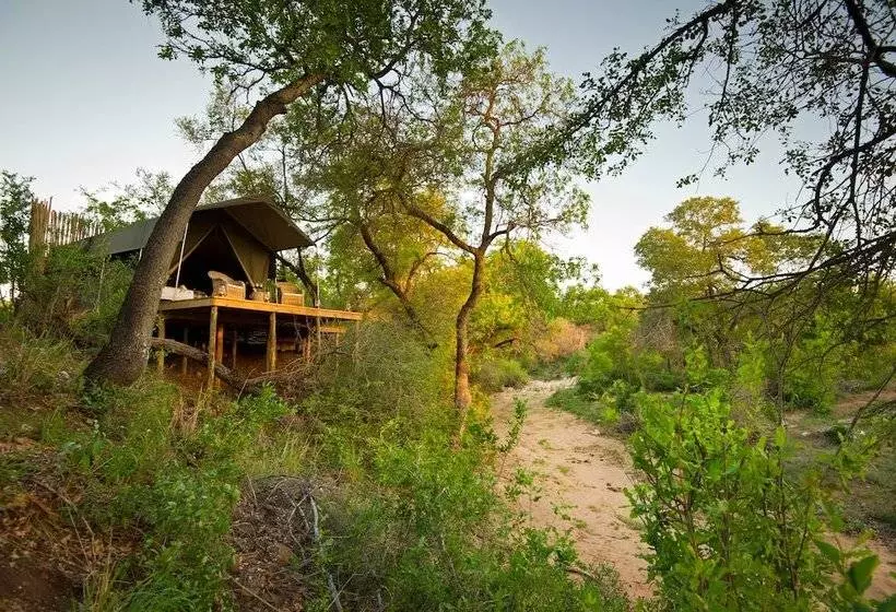 هتل Klaserie Sands Safari Trails