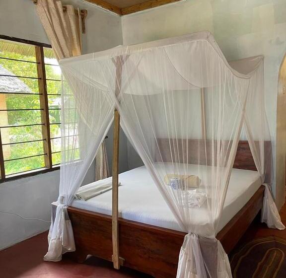 Bed and Breakfast Mafia Whale Shark Safari Afro Beach