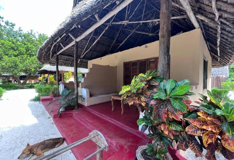 Bed and Breakfast Mafia Whale Shark Safari Afro Beach