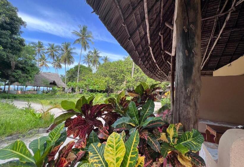 Bed and Breakfast Mafia Whale Shark Safari Afro Beach