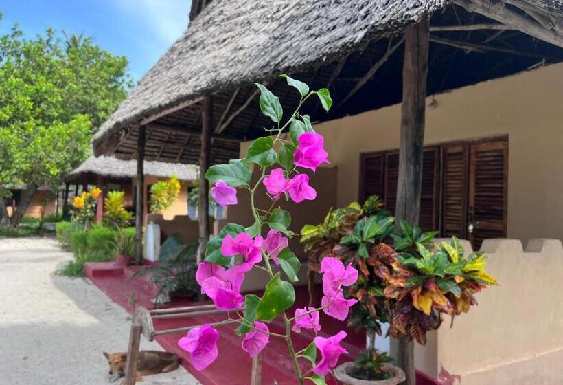 Bed and Breakfast Mafia Whale Shark Safari Afro Beach