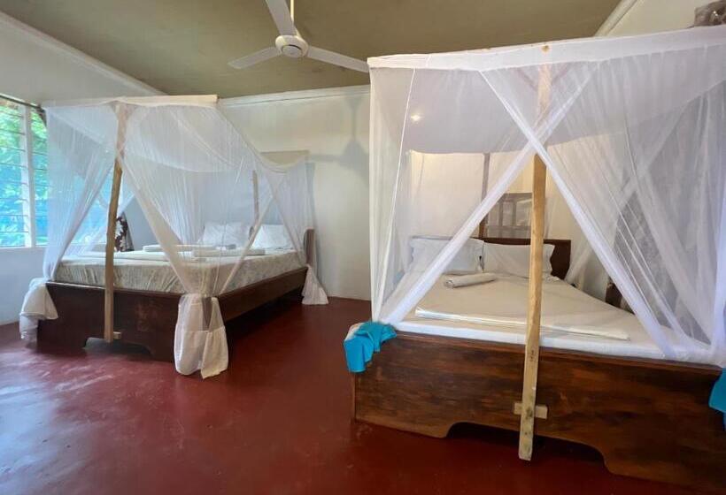 Bed and Breakfast Mafia Whale Shark Safari Afro Beach