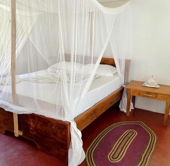 Bed and Breakfast Mafia Whale Shark Safari Afro Beach