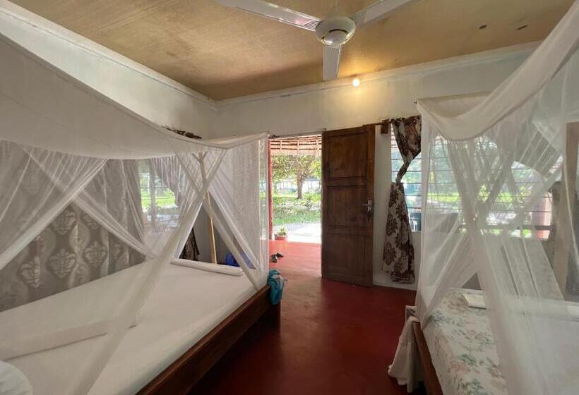 Bed and Breakfast Mafia Whale Shark Safari Afro Beach