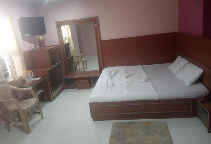 Отель Mayur Puri