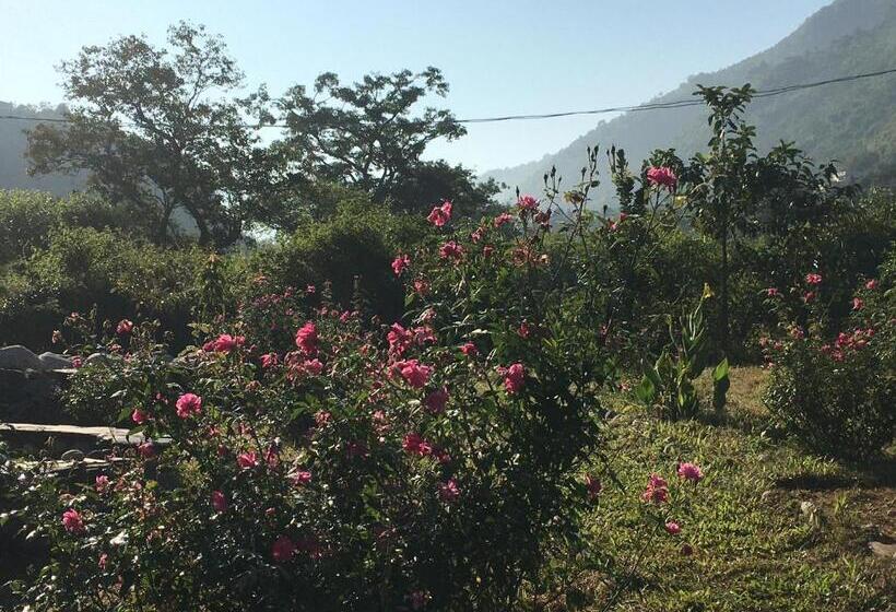 ホテル Nayar Valley Retreat