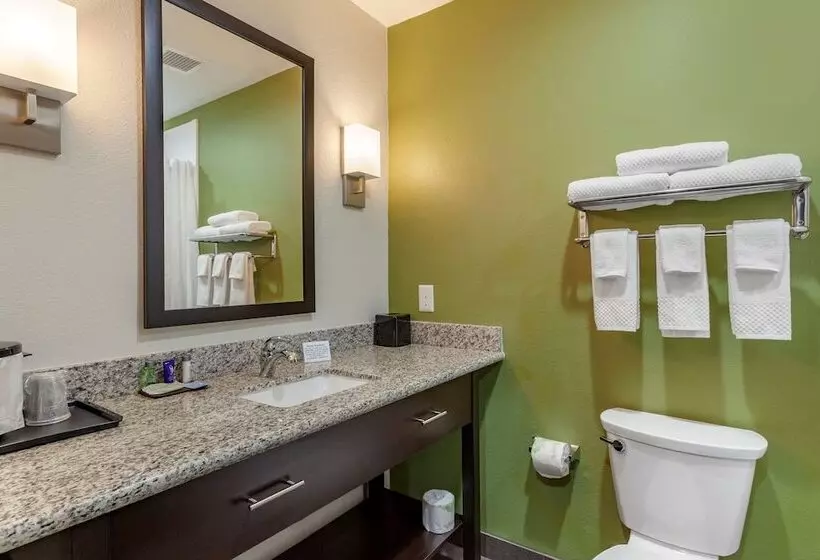 ホテル Sleep Inn & Suites