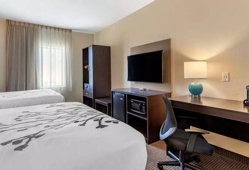 ホテル Sleep Inn & Suites