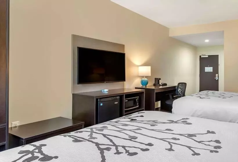 ホテル Sleep Inn & Suites