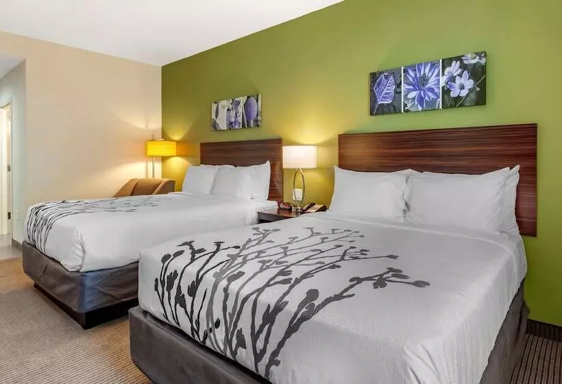 ホテル Sleep Inn & Suites