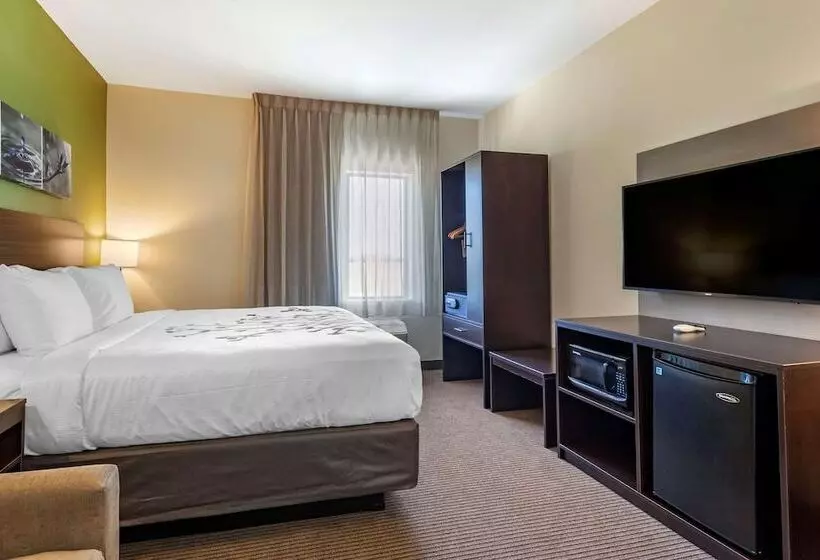 ホテル Sleep Inn & Suites