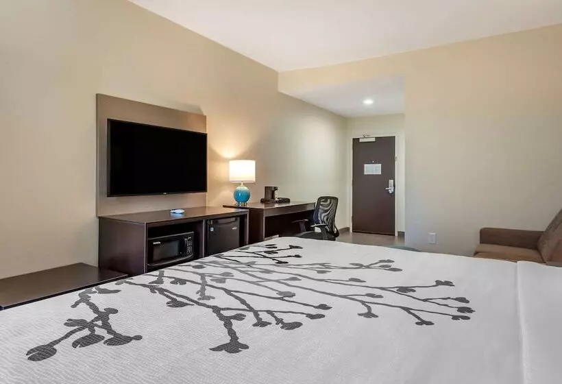 ホテル Sleep Inn & Suites